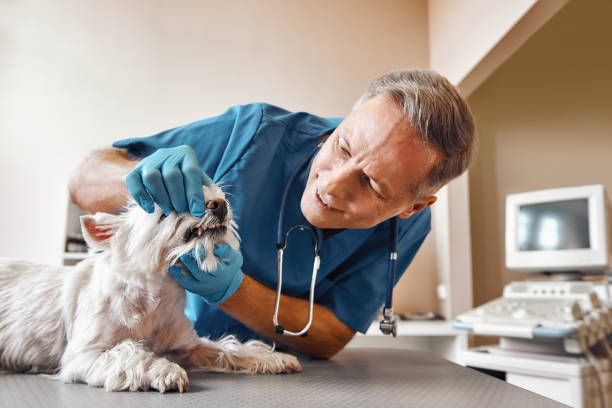 Best Emergency Treatment for Toothache in Vero Beach, FL